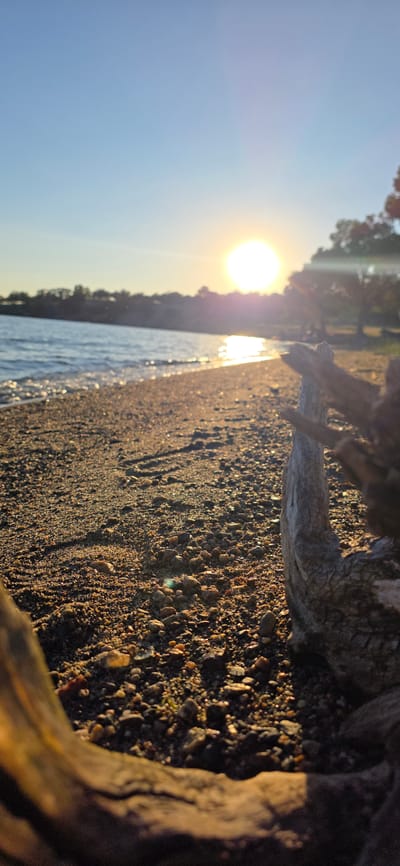 The image depicts a serene beach scene at sunset on the shores of Issyk-Kul Lake in Kyrgyzstan. The sun, a bright orb low in the sky, casts a warm glow across the landscape, creating shimmering reflections on the water. The foreground is dominated by a pebbly beach, with scattered driftwood adding texture and a rustic feel. In the distance, a tree line separates the beach from the sky. The overall impression is one of tranquility and natural beauty, characteristic of a peaceful sunset by the water.