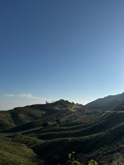 The image displays a panoramic landscape of the Unincorporated Santa Monica Mountains, United States of America, under a clear, bright blue sky. The upper two-thirds of the frame consist of the sky, showing a gradient from deeper blue overhead to a lighter hue near the horizon, with a small, wispy white cloud formation visible on the far left horizon and a faint sun haze on the right. A single, minuscule dark speck is present in the upper-center sky.
The lower third of the image is dominated by undulating, green hills covered in low-lying vegetation and scattered trees. These hills are illuminated by natural sunlight, creating distinct patterns of highlights and shadows across their contours, suggesting early morning or late afternoon. On the prominent hilltop in the mid-ground, slightly left of center, a cluster of residential structures, partially obscured by trees, is visible. Winding asphalt roads traverse the hills, with segments observable in the mid-ground. Utility poles with lines are discernible on the right side of the frame, near the crest of a hill. In the immediate foreground, at the bottom right, a plant with a single yellow flower is present. No human figures or vehicles are visible within the scene.