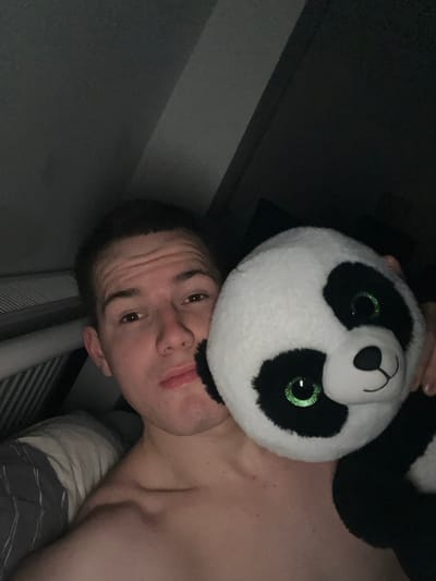 A selfie image depicts a young, fair-skinned male indoors, appearing bare-chested and positioned slightly to the left of the frame's center. He has short, dark hair and looks directly at the camera with a neutral expression. To his right, he holds a black and white panda plush toy featuring large, sparkly green eyes, which partially obscures the right side of his face. The male's left shoulder and upper arm are visible. Behind him, striped bedding in shades of gray and a plain light-colored sheet or pillow are visible on the lower left. The background is dark and indistinct, with a horizontal light gray architectural element visible in the upper left. The environment is dimly lit, suggesting an indoor setting like a bedroom, but provides no discernible visual identifiers to confirm its specific location in Benningen, Germany.