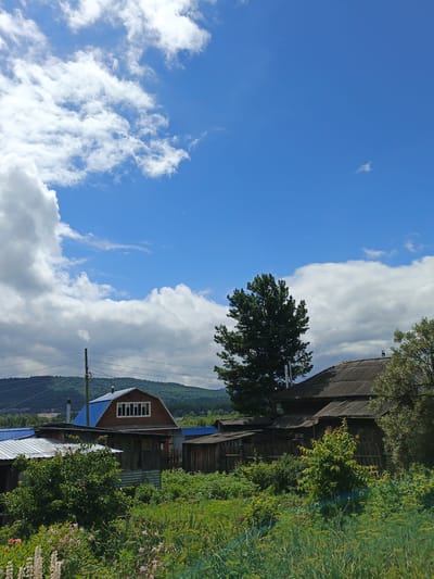 The image depicts a rural scene in Medvedyovka, Russia, on a bright, cloudy day. In the foreground, lush green grass and various flowering plants create a vibrant natural setting. Several buildings are visible, including a house with a distinctive brown roof and blue siding, and other smaller structures with corrugated metal roofs. A tall, mature tree stands prominently in the middle ground, its dense foliage contrasting with the lighter sky. In the background, rolling hills covered in greenery form a scenic backdrop. Electrical wires and a utility pole are also present, suggesting the presence of infrastructure in the area. The sky is a vivid blue, punctuated by large, puffy white clouds. There are no people or animals visible in the image.
