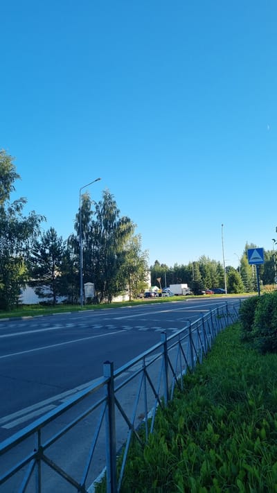 The image depicts a street scene on a clear day, likely in an urban or semi-urban setting. In the foreground, a metal fence with a diamond pattern runs along the side of a paved road. To the right of the fence, a patch of lush green grass is visible. The road itself has pedestrian crossing markings, including dashed white lines and what appear to be speed bumps.
On the left side of the road, a white building with a striped facade is partially visible, bordered by trees. A tall street lamp stands near the building. Further down the road, several trees, including birch and pine, create a dense treeline. A few cars and a white truck are parked or driving along the road. A blue traffic sign with a white triangle and a stylized speed bump symbol is located on the right side of the road, amidst more trees. The sky is a clear, bright blue, with a faint crescent moon visible in the upper right corner. The overall impression is a quiet, possibly suburban, street scene under a sunny sky.