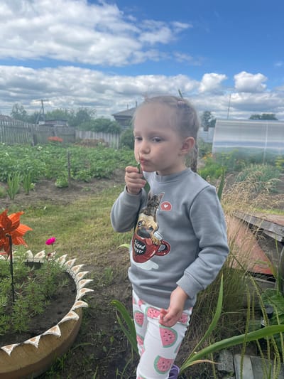 In the city of Сухринское, Russia, a young girl stands in a backyard garden on a cloudy day. She is wearing a grey sweatshirt with a graphic of a cat and dog in a coffee mug, and white pants with a watermelon print. The girl is holding a green sprig up to her mouth, appearing to be tasting it. The garden features rows of plants, a wooden fence, a greenhouse in the background, and a decorative plant border made from a tire.