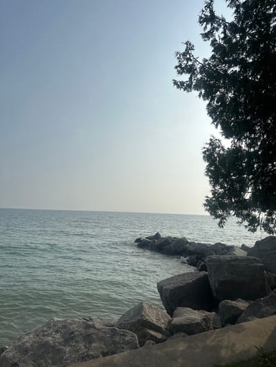 A photograph captures a serene lakefront scene with a tree silhouetted against a hazy sky. Large, gray rocks are scattered along the shoreline, some forming a natural breakwater. The water is a tranquil blue-green, with gentle ripples. A tree branch, dark and leafy, extends into the frame from the upper right corner. The background shows a faint horizon line where the sky meets the water, both rendered in muted, atmospheric tones. The location is a public park in Harbor Springs, Michigan, USA.