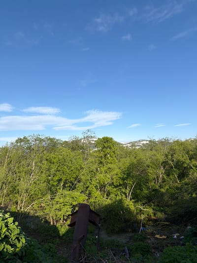 This is a vertical, medium shot photo taken from a low angle, looking up at a bright blue sky with scattered white clouds. On the right side of the frame, there is a dense green forest that extends into the distance. A patch of snow-capped mountains can be seen in the background, peeking through the trees. In the foreground, on the right side of the image, there is a rusted metal object, possibly part of an old engine or piece of machinery, lying on the ground amidst the foliage. The sun is shining brightly, casting shadows from the trees. The scene appears to be set in a natural, outdoor environment, likely during the daytime. There are no people visible in the image. The overall mood is one of nature, with a hint of industrial decay due to the presence of the rusted object. The location context provided indicates Termal'nyy, Russia.