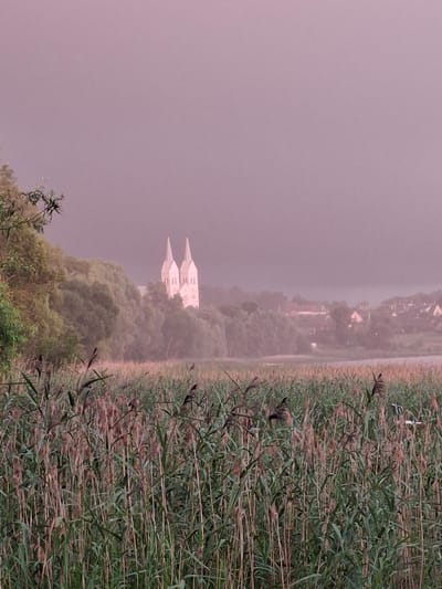 The image depicts a rural landscape at dusk or dawn, with a dominant soft pink hue in the sky and atmosphere. In the foreground, tall, dry reeds and grasses dominate the scene, with their stalks and feathery tops creating a dense texture. Beyond the reeds, a line of trees forms a verdant backdrop. Emerging from behind the trees, and slightly to the left of center, is a light-colored building with two prominent spires, resembling a church or a cathedral. Further in the distance, a hazy village with rooftops can be observed. The overall impression is one of tranquility and a somewhat muted, ethereal atmosphere, characteristic of transitional light conditions. The image is likely taken in or near the village of Slabodka, within the Slabodkaŭski sel'ski Savek, Belarus.