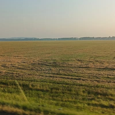 The image depicts a vast agricultural field under a hazy sky. The field is predominantly covered in dry, matted grass, arranged in rows, suggesting it has recently been harvested or prepared for planting. In the distance, a dense line of trees forms a natural horizon, beyond which a faint, undulating landscape is visible, possibly hills. The sky is a pale, washed-out blue, with a slight gradient towards a lighter hue at the top, indicating either early morning or late afternoon light, or atmospheric haze. The foreground is blurred, suggesting motion, likely from a moving vehicle, with patches of green grass visible at the very bottom of the frame. There are no people or specific man-made structures clearly identifiable in the main body of the field, though faint structures may be present within the tree line in the distance. The scene is rural and expansive, characteristic of agricultural landscapes. There is no indication of the city of Taraberdino, Russia in the image.