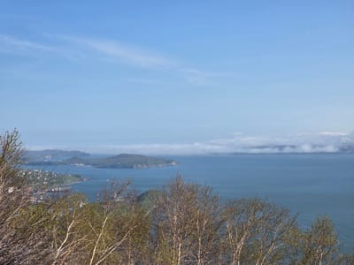The image captures a panoramic view from a high vantage point overlooking a coastal city and its surrounding seascape. In the foreground, bare-branched deciduous trees with emerging green leaves dominate the lower part of the frame, suggesting a spring or early summer setting. Beyond the trees, the mid-ground reveals a city nestled along a curved coastline, characterized by buildings with red roofs and other structures, some of which appear to be industrial, including cranes and docked vessels in a harbor area.
The sea occupies the majority of the image, stretching towards the horizon. Islands and peninsulas of varying sizes, covered in green vegetation, dot the water and the distant coastline. Some of these landforms have steep cliffs. Further out, a layer of low-lying clouds hugs the water's surface and the distant land, partially obscuring some of the furthest islands and creating a hazy effect. The sky is a clear, pale blue with wispy white clouds scattered across its expanse. The overall impression is one of a temperate coastal landscape with signs of human habitation and natural topography. The location is described as "Krutoberegovoy, Russia."