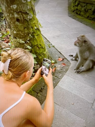 A person is taking a photo with their phone of a monkey that is lying on the ground. The monkey is light brown in color and appears to be resting. The person taking the photo is holding the phone in their right hand and their left arm is extended towards the monkey. Their back is to the camera. The setting appears to be outdoors, with stone paving and a moss-covered log visible in the foreground. There are some fallen leaves on the ground. The time of day and weather conditions are not evident from the image. There is no visible text in the image.