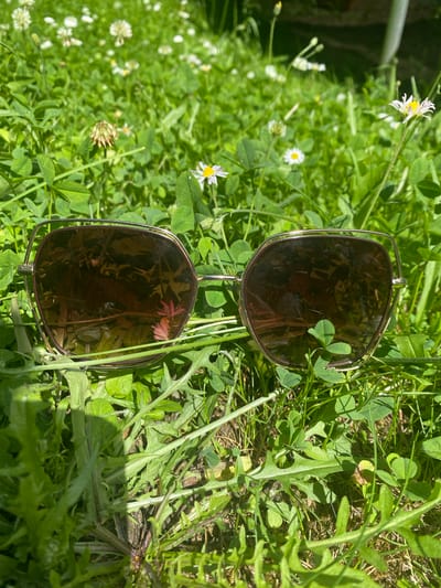 The image features a pair of sunglasses resting on a bed of green clover and grass, with small white flowers scattered throughout. The sunglasses have a square-ish, oversized frame with brown lenses. The reflection in the lenses shows a hint of pink flowers and green foliage, suggesting an outdoor setting. The overall scene is brightly lit, indicating it's daytime, likely sunny. The presence of clover and wild flowers suggests a natural environment, possibly a meadow or a garden. The image is captured from a top-down perspective, with the sunglasses lying horizontally in the frame. The foliage is lush and vibrant, creating a soft, natural backdrop. The location context of Sachsenheim, Germany, further supports the interpretation of a European natural landscape. No text is visible in the image.