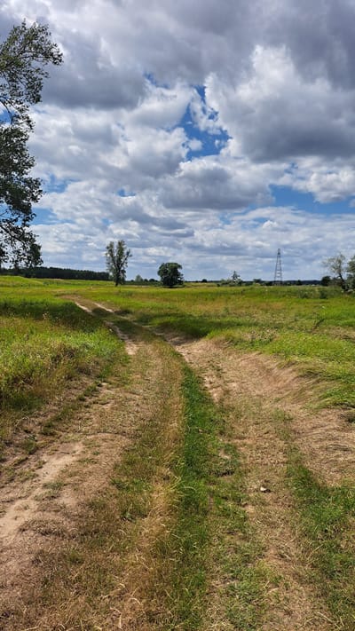 The image captures a rural landscape in Marcinowice, Poland, dominated by a dirt track winding through a meadow under a partly cloudy sky. In the foreground, the track is clearly defined, with dry, worn earth giving way to patches of green and golden grass on either side. Further into the scene, the meadow continues, dotted with trees of varying sizes. A tall, slender transmission tower stands on the right side of the horizon, a man-made structure against the natural backdrop. The sky is a dynamic mix of white, grey, and blue, with large, fluffy clouds casting shadows across the fields. The overall impression is one of natural beauty and open space, characteristic of a rural setting.