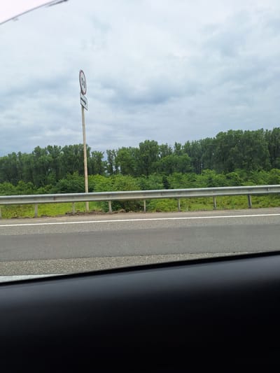The image depicts a roadside scene under a cloudy sky. A speed limit sign showing "50" is visible on a pole, accompanied by a directional arrow pointing to the right. A metal guardrail runs along the side of the road, separating it from a grassy area and a dense line of green trees. The road itself appears to be asphalt with a white lane marking. The foreground is dominated by the dark interior of a vehicle. The scene is likely located on a highway outside of Lanchkhuti, Georgia.
