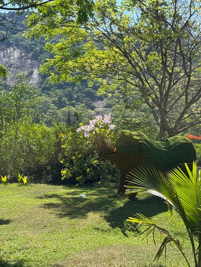 A topiary elephant covered in green moss is situated on a lush green lawn in a garden setting. The elephant sculpture is positioned near a cluster of pink and yellow flowers, with a mature tree providing shade from above. In the background, a steep, rocky mountainside covered in dense green vegetation rises against a clear blue sky. The scene is illuminated by bright sunlight, casting shadows on the lawn. A single plastic bottle is visible on the grass in the mid-ground. The image captures a tranquil outdoor environment, likely a park or botanical garden, within Hoa Thang Ward, Vietnam.