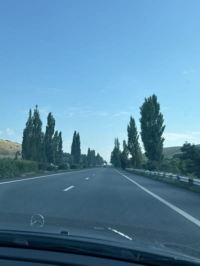 The image shows a view from inside a car driving on a highway. Tall, slender trees line the right side of the road, with a grassy embankment and more distant hills in the background. The sky is clear blue. The Mercedes-Benz logo is visible on the hood of the car in the foreground. Cars are present on the highway in the distance. The location is the highway entering Arzni, Armenia.