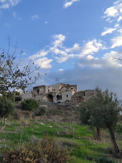 A weathered stone building rests atop a green hill. Its decaying walls and arched openings hint at a storied past. Above, a sky blends bright blue and gray clouds. Bare branches reach skyward from a tree in the foreground, contrasting with lush greenery surrounding the building. The scene evokes a sense of history and decay in a natural setting.