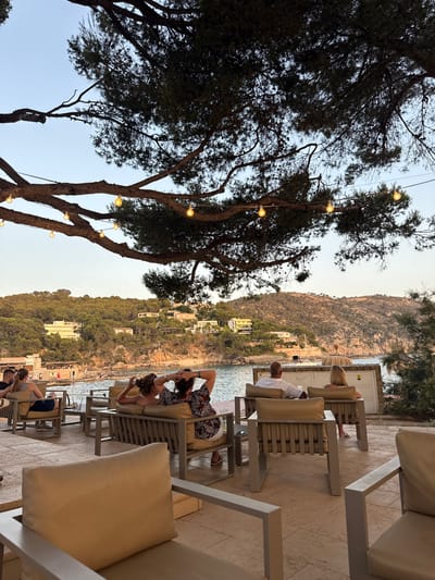 This image depicts an outdoor seating area with a view of a coastal town nestled on a hillside. The scene is set on a terrace, likely part of a restaurant or cafe, with multiple rows of modern, light-colored lounge chairs and sofas. String lights are visible, adding to the ambiance. In the foreground, to the left, a large tree with dark foliage dominates the frame, its branches reaching towards a bright, clear sky. The string lights are strung between the tree and possibly other structures.
Several people are seated in the lounge area, some facing the sea, others conversing. One woman with blonde hair is seated in a chair, looking away from the camera. A man in a white shirt is seated in another chair, also looking out. Further back, another person is visible in a patterned shirt, with their hands near their head. The activity appears to be leisurely relaxation, with people enjoying the view and perhaps drinks.
The background reveals a picturesque coastal landscape. The sea is calm and blue, bordering a densely vegetated hillside dotted with white buildings, indicative of a Mediterranean town. The sun appears to be low in the sky, casting a warm glow on the scene, suggesting it is either late afternoon or early evening. The weather seems pleasant and clear. The location context provided is Andratx, Spain, which aligns with the visual cues of a Mediterranean coastal town. No visible text is apparent in the image.