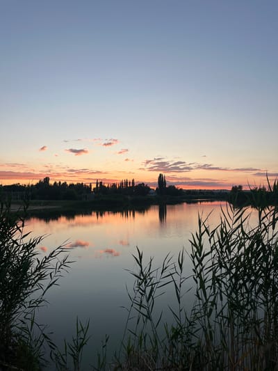 A serene landscape captures a sunset over a body of water, possibly a lake or river, in Kotovo, Russia. The sky transitions from a pale blue at the top to hues of pink and orange near the horizon, painted by the setting sun. wispy clouds are scattered across the sky, reflecting softly on the calm water's surface.
Along the far bank, a dense line of trees, predominantly tall and slender, forms a natural silhouette against the vibrant sky. Some smaller structures, possibly buildings or fences, are intermittently visible amidst the foliage. The foreground is framed by tall, dark green reeds, their feathery tops swaying gently, adding a sense of depth and texture to the scene. The water itself appears calm, with subtle ripples disturbing its surface, mirroring the colors of the sky and the trees. The overall impression is one of tranquility and natural beauty during the twilight hours.