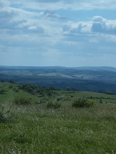 The image shows a landscape in Lesovo, Bulgaria, with a foreground of long green grass and sparse bushes. In the midground, rolling green hills are dotted with trees and a faint path. Further in the background, there are hazy mountain ranges. The sky is blue with scattered white clouds. No people or animals are visible.