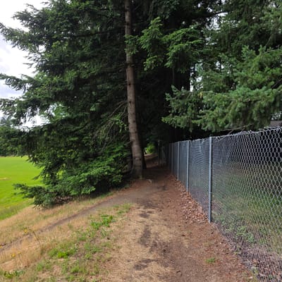 A dirt walking path runs along a chain-link fence, which is on the right side of the image. The fence has metal posts every few feet. To the left of the path are tall evergreen trees, their branches hanging over the path. The ground on the left of the path is a grassy slope that leads down to a bright green, well-maintained field, likely a park or sports field. The path itself is bare dirt with some dry grass and leaves on it. The sky is overcast. The location is a park in Portland, Oregon.