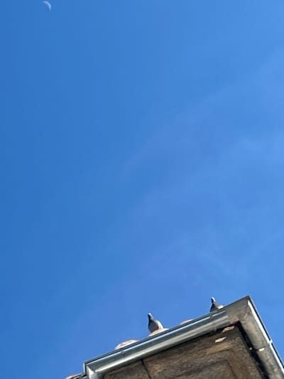 The image provides an upward-angled view of a building in Piedrahíta, Spain, under a clear, bright blue sky. In the upper left quadrant of the sky, a slender crescent moon is visible. The lower third of the frame captures the corner of a building's roof, featuring a metallic rain gutter. Behind the gutter, partially visible orange-brown terracotta roof tiles support two grey pigeons. One pigeon is positioned to the left, and the second is further right, both facing towards the right side of the frame. The underside of the eave, appearing as textured stone or concrete, is visible below the gutter. No human subjects or interactions are present.