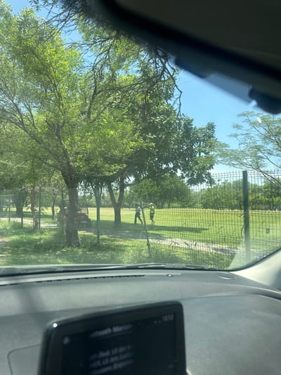 The image provides a driver's perspective of a golf course, likely the Club Campestre Victoria, in Ciudad Victoria, Mexico, on a clear, sunny day. The foreground shows a dark vehicle dashboard with a partially visible infotainment screen displaying "Bluetooth Mania" and the time "12:12". Beyond the vehicle, a green metal mesh fence runs horizontally, separating the viewer from a large, mowed green lawn. Multiple trees with lush green foliage are visible, some directly behind the fence, others in the background. Two male individuals are present on the grassy field beyond the fence. The individual on the left, dressed in dark pants and a light shirt, walks towards the left, carrying a long, thin object consistent with a golf club. The individual on the right, wearing a high-visibility yellow or green vest/shirt and lighter pants, also walks left, carrying a golf club. A red golf cart is partially visible parked behind a tree on the left side of the field. The sky is clear and blue.