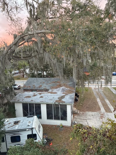 This image presents an elevated view of a residential property in Gainesville, Florida, United States, observed during either sunrise or sunset as indicated by the sky's coloration. The upper portion of the frame is largely occupied by the dense canopy of a mature live oak tree heavily adorned with Spanish moss (Tillandsia usneoides).

Below the tree, two single-story structures are visible. The closest structure is a white building featuring a screened-in porch or sunroom with multiple large windows that reflect interior clutter. Its light gray flat roof is unevenly covered with scattered brown leaves and some organic debris. Behind and slightly to the right of this, a second building with a darker gray shingled roof is also covered with numerous fallen leaves. A section of red brick is visible on one side of this rear building.

In the lower-left foreground, a white recreational vehicle (RV) or travel trailer with a black stripe is parked, partially obscured by green foliage. Its roof appears weathered. The ground around the structures and in the yard is extensively covered with fallen brown leaves. A concrete driveway, consisting of two parallel strips, extends from the lower right towards the background street.

On the street in the background, several vehicles are parked; a silver or white coupe (possibly a Ford Mustang) is visible on the left side, and a dark blue sedan is on the right. Additional vehicles are discernible further down the street. Black trash bins are positioned near the side of the front building. The sky displays hues of orange, pink, and light blue, indicating low-angle sunlight. No individuals are present, and no active interactions or specific actions are depicted within the scene.