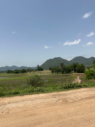 The image depicts a landscape scene that is likely in Lankoviri, Nigeria, characterized by a dirt road in the foreground, a green field with some waterlogged areas, a cluster of trees, and a range of green, undulating hills in the background under a clear blue sky with scattered white clouds. There are no people or animals visible in the image. The overall impression is one of a rural, natural environment.