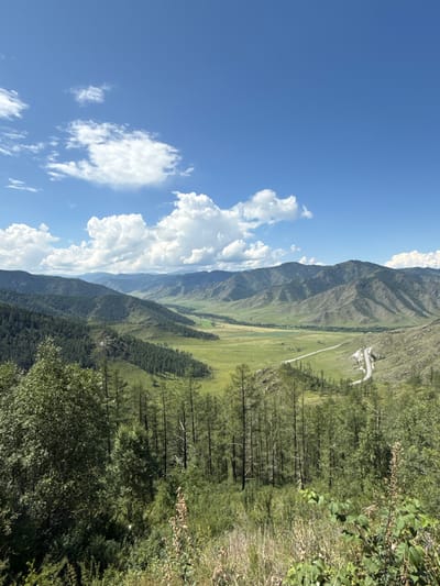 This image depicts a panoramic view of a valley with rolling green hills and mountains under a bright blue sky dotted with fluffy white clouds. A winding road is visible in the middle ground, cutting through the valley. The foreground is dominated by lush green vegetation, including trees and tall grasses. The overall scene suggests a rural or natural landscape. There are no people or any specific urban elements identifiable in this image, so it cannot be definitively located in Khabarovsk, Russia, or any other city.