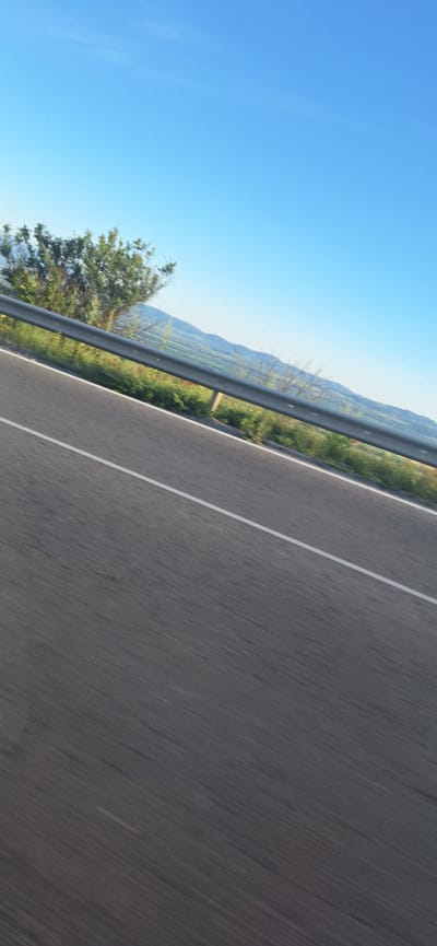 A tilted, high-angle shot shows a two-lane highway with a white dividing line. A guardrail runs along the left side of the road, separating it from a green hillside with vegetation and what appears to be red poppies scattered among the grass. In the distance, a hazy mountain range is visible under a clear blue sky. The image does not contain any visible people. The location is identified as Bogyovtsi, Bulgaria.