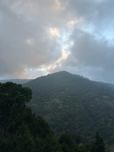 A mountain looms tall, its steep side densely covered in green vegetation, merging with shadowy trees in the foreground. Overcast skies dominate, filled with thick, grey clouds that obscure the sun, allowing subtle hints of yellow light to peek through. The scene is serene yet somber, highlighting the majesty and mystery of a mountainous landscape under a cloudy sky.