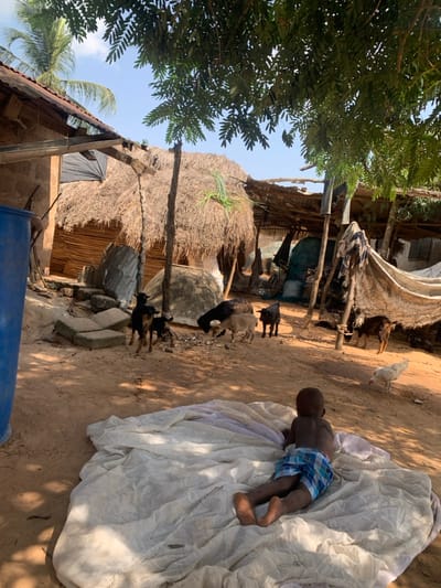 This image depicts an outdoor scene in Dekpor Horme, Ghana, under bright daylight with strong shadows. In the foreground, a young child with dark skin, wearing blue and white plaid shorts, lies prone on a large, wrinkled white fabric sheet spread on the reddish-brown dirt ground. The child is shirtless, faces away from the camera, and appears to be observing the midground.

The midground features several animals and rudimentary structures. Approximately six goats of various sizes and colors (black, light brown, dark brown) are scattered across the dirt, some appearing to graze or mill about. Two small black dogs are visible on the left, near a traditional hut. A white chicken stands on the right side of the midground.

In the background, multiple structures are present. On the far left, a blue plastic barrel stands next to a building with visible brickwork and a corrugated metal roof. Adjacent to this, in the center-left, is a hut with a conical thatched roof and walls constructed from woven natural materials, possibly bamboo or wood. Nearby, a pile of dried grass or hay and several concrete blocks are visible. To the right of the thatched hut, a makeshift shelter is constructed with wooden poles supporting a roof and walls made from various tarps and fabrics. Overhead, green foliage from a tree casts dappled shadows on the ground, and a palm frond is visible against a clear, light blue sky in the upper left.