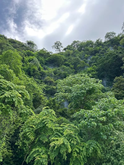 The image depicts a lush, steep hillside covered in dense green foliage, with a rocky cliff face partially visible beneath the vegetation. The sky above is overcast with dramatic clouds, some of which are illuminated by sunlight breaking through. The foreground is dominated by the vibrant green leaves of trees and vines, creating a thick canopy. The scene appears to be a natural landscape, likely a mountainous or hilly region, situated within or near the city of Ko, Thailand. No people or specific man-made structures are visible in the frame, emphasizing the natural and somewhat wild character of the environment.