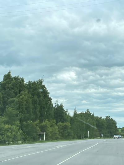 The image captures a view from a road in Nadyezhdino, Russia, with a dense, green forest lining the right side of the road. The sky is overcast with a mix of grey and white clouds, and three power lines are visible across the top of the frame. A dark circular smudge is present in the upper right quadrant of the sky. The road itself is paved, with white lane markings. In the distance, two cars are driving on the road. A signpost with a circular red and white sign is visible on the right side of the road, amidst the trees. To the left of the road, there is a signpost with a white rectangular frame.