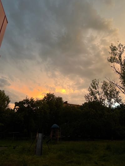 The image depicts an outdoor scene at dusk, likely in an urban or suburban area. In the foreground, a grassy field with overgrown vegetation is visible, with a metal slide and a portion of a playground structure in the center. The background is dominated by a dense line of dark green trees. Above the trees, the sky is filled with dramatic clouds, tinged with orange and yellow hues from the setting sun, creating a contrast with the darker, gray clouds. On the far left, a corner of a building, possibly a residential building with pinkish-red siding, is visible. On the right side of the image, silhouetted trees with thinner branches extend upwards towards the sky, and two small birds are perched on branches. In the distance, the upper section of a building with a railed walkway can be seen peeking above the tree line. The overall atmosphere is serene and somewhat melancholic due to the fading light. The location is identified as Ленинский, Russia.