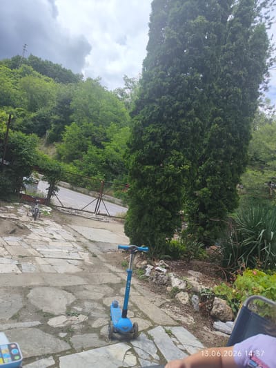 In Dobrotino, Bulgaria, a blue three-wheeled scooter is parked on a flagstone path. To the left of the scooter, a small bicycle with a grey frame rests near a chain-link fence. Beyond the fence, a paved road is visible, bordered by lush green trees and vegetation that climb a gentle slope. Two tall, dark green cypress trees dominate the right side of the scene. The sky is overcast with dramatic, dark clouds. A person's arm, wearing a purple shirt, is visible in the lower right corner, with a timestamp "13.06.2026 14:37" superimposed on the image.