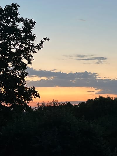 This image depicts a sunset scene with silhouetted trees against a colorful sky. The sky transitions from a pale blue at the top to shades of orange and yellow closer to the horizon, with some elongated grey clouds present. In the foreground, the dark silhouettes of tree branches and foliage are visible, some with detailed leaf structures. The right side of the image is dominated by a dense, dark silhouette of more trees and foliage. The overall impression is one of a peaceful evening in a natural setting. The time of day is clearly sunset due to the colors in the sky. There is no visible text in the image.