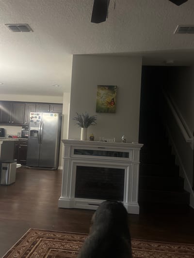 The image depicts an interior view of a residential living space. A dark-haired animal's back is visible in the foreground, partially obscuring a rug with a geometric pattern. To the right, a dark staircase ascends into shadow, with white banisters visible on the right side. In the center of the image, a white, ornate fireplace mantle is present, with a black grate within its opening. Above the mantle, a framed artwork featuring a butterfly and text is displayed on a light-colored wall. To the left of the mantle, a white vase holds a bouquet of lavender-like flowers, and a small, yellow decorative object sits beside it. Further to the left, a stainless steel refrigerator stands in a kitchen area with dark wood cabinets. A silver trash can is positioned near the refrigerator. The flooring throughout the visible areas is dark wood. Overhead, a white ceiling with textured finish is apparent, featuring air vents and recessed lighting. The scene is dimly lit, suggesting it may be evening or the room is not well-lit. The image does not provide any specific geographical indicators that would allow for its placement in Jacksonville, United States of America.