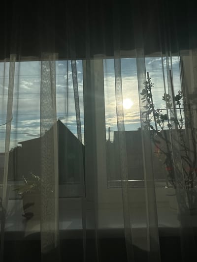 This is a medium shot, vertically oriented photograph of a sunlit window with sheer curtains partially obscuring the view. The window is divided into sections by what appear to be horizontal blinds or a similar window treatment. Through the translucent curtains and between the slats, a bright sun is visible, casting a warm, golden glow. The sky outside is a pale blue with scattered white clouds, suggesting daylight, possibly late afternoon given the low angle of the sun.
Silhouetted against the bright light are the branches of a plant, casting shadows on the windowpane. These branches appear to be part of a houseplant, with small leaves and possibly some buds or flowers. In the lower right portion of the image, another potted plant is faintly visible, casting its own shadow. Reflections on the window suggest an interior space with walls and possibly other furniture. The overall mood is serene and tranquil, evoking a sense of quiet domesticity bathed in natural light. There is no visible text in the image. The location context provided is Ленина, Russia.