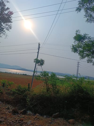 The image shows a landscape in Kothacheruvu, India, under a bright, hazy sun. Overhead, power lines crisscross the sky. On the left and right, trees partially frame the view. In the mid-ground, there's a lake with reflections mirroring the sunlight, bordered by hills in the distance. Patches of reddish-brown farmland contrast with green vegetation near the shoreline. A utility pole stands amidst the scenery. In the foreground, a mix of rocks, dirt, and shrubbery fills the space. An electrical transmission tower is located near the right side of the lake.