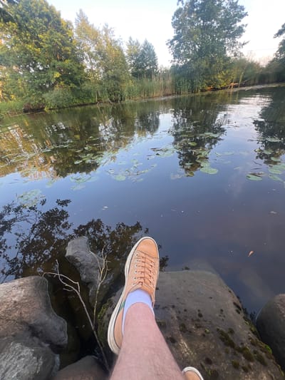 A first-person perspective shot shows a person's leg and foot wearing a tan sneaker and a white sock, resting on large rocks next to a dark body of water. The water is still and reflects the surrounding trees and sky. Lily pads are scattered across the surface of the water. The background features lush green trees and reeds lining the water's edge under a bright, clear sky. This scene is located in Šyša, Lithuania.