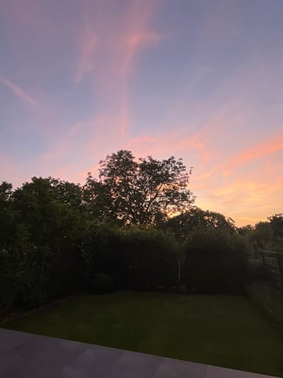 The image depicts a twilight scene, possibly in Mondercange, Luxembourg. The sky displays hues of pink, purple, and orange, suggesting either sunset or sunrise. Silhouetted against the sky are trees, primarily broadleaf deciduous types, with visible branch patterns. Adjacent to the trees is a grassy lawn, partially obscured by shadow. A portion of a structure, possibly a wall or building, is visible in the lower right corner. There are no visible people or discernible interactions within the scene.