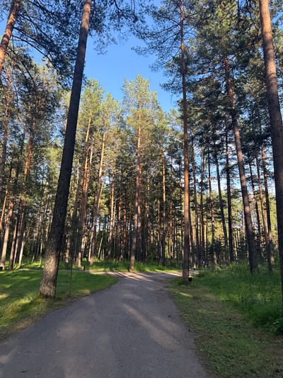 A dirt path curves through a sun-dappled pine forest under a clear blue sky. The path is flanked by tall, slender pine trees with rough, reddish-brown bark and dense green needles. Sunlight filters through the branches, casting shadows on the path and the grassy areas to its sides. In the distance, a few people can be seen walking along the path, and a street light is mounted on a pole to the left. A trash can is visible near the path. The scene appears to be a park or recreational area within the settlement of Атаманово, Russia.