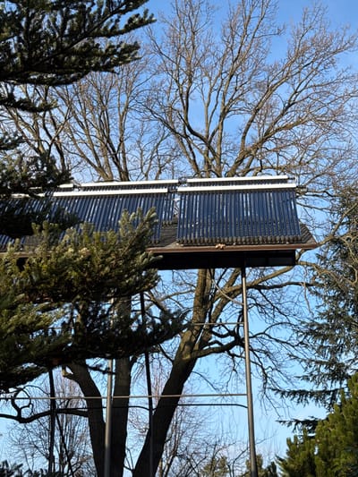 The image displays a vertical array of solar thermal collectors, composed of numerous evacuated tubes, mounted on a dark, columnar structure. This installation is set against a clear, bright blue sky.

Large deciduous trees with bare branches dominate the background, their intricate network of limbs spreading across the sky, indicative of winter or early spring. In the foreground and along the sides, dark green evergreen coniferous trees are visible, partially framing the solar array. A metallic railing or fence section is also present on the right side of the image.

The scene captures an outdoor environment during a sunny day. There are no people or specific activities taking place. The visual evidence suggests a location outside a dense urban area, consistent with the provided context of Plyuty, Ukraine, where human technology coexists with natural elements. No visible text is present in the image.
