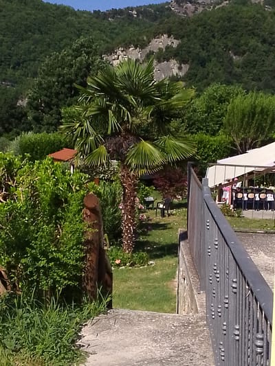 A sunlit outdoor scene is captured from an elevated perspective, looking down a concrete pathway bordered by a dark metal railing. Lush green foliage dominates the foreground and midground, with a tall palm tree standing prominently in the center. Beyond the greenery, a white tented area is set up, with tables and chairs visible, suggesting an outdoor event. In the background, steep, tree-covered hills rise under a clear blue sky, indicative of the mountainous terrain of Valle Castellana, Italy.