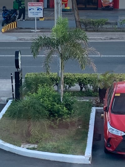 The image depicts a street scene in Angeles City, Philippines. In the background, a "NO PARKING TOW AWAY ZONE" sign is visible, next to a parked motorcycle. A person wearing a green jacket and black pants stands near the motorcycle. In the foreground, a palm tree is situated in a planter box, with a red car parked to its right. A clock tower or similar structure is located to the left of the planter box. The environment appears to be an urban setting with paved roads and greenery.