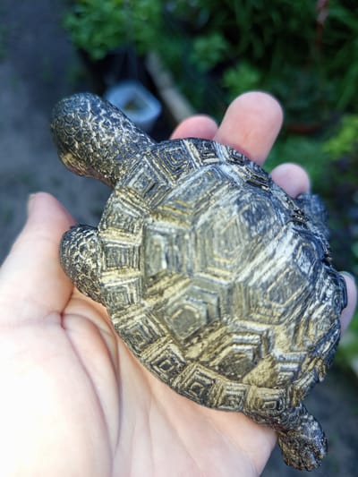 A close-up, overhead shot shows a person's hand holding a small, dark-colored turtle figurine. The turtle's shell is detailed with a pattern of hexagonal and square plates, some appearing lighter than others, giving it a textured and somewhat aged appearance. The figurine's head and limbs are also visible, with a textured, scaly design. The hand is cupped, supporting the figurine, and a thumb is visible on the right side, gently holding the shell. The background is blurred, showing greenery and some indistinct objects, suggesting an outdoor setting. The lighting indicates it is daytime, likely with natural light. There is no visible text in the image. The scene appears to be a casual moment, possibly a child or adult showing off a small collectible or toy. The location context is Sloviansk, Ukraine.