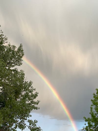The image shows a rainbow in the sky. The sky is overcast with gray and white clouds. A tree with green leaves is visible in the foreground. The location and time of day cannot be determined from the image. There is no way to determine from the image whether the photo was taken in Kulata, Bulgaria.