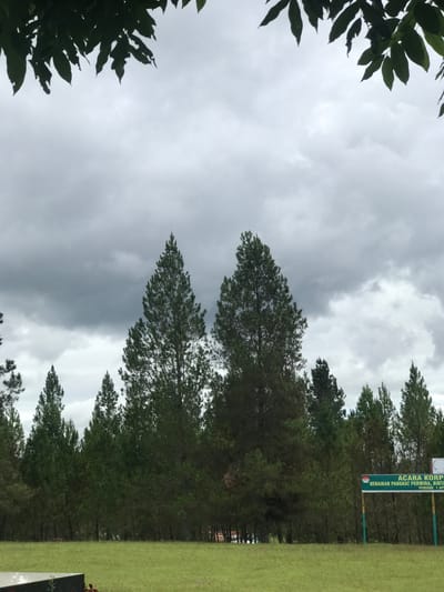 The image shows a landscape in Babussalam, Indonesia, under an overcast sky. A row of pine trees lines the edge of a green grassy field, and leaves from another tree frame the left side of the image. A sign is visible on the right side, bearing the inscription "ACARA KORP… KENAIKAN PANGKAT PERWIRA, BINTA…" in green and white text.