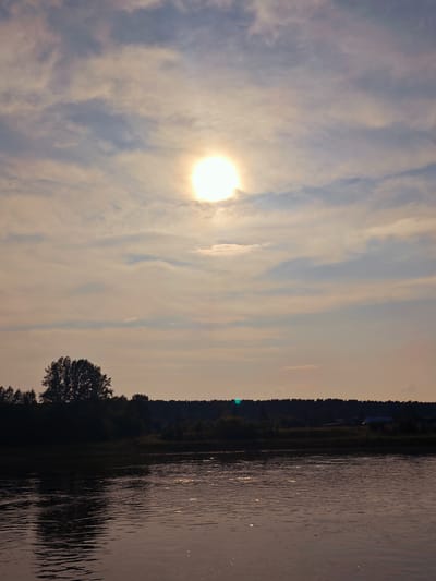 The image shows a wide, tranquil river flowing through a natural landscape. The sun is high in a cloudy sky, casting a warm glow. The river's surface reflects the sunlight and the surrounding trees and sky. On the far bank of the river, a dense line of trees stretches across the horizon, with a few buildings faintly visible amongst the foliage, suggesting a rural or semi-rural setting. To the left of the frame, a large, silhouette of a solitary tree stands prominently against the sky. The overall atmosphere is serene and natural, typical of a landscape in or around the village of Yukseevo, Russia.