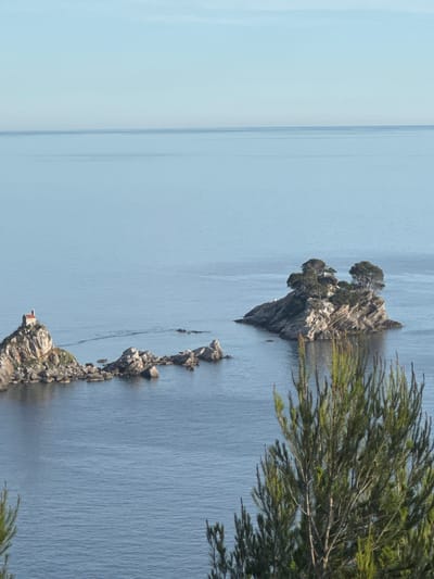 The image depicts a serene seascape with two rocky islets in the calm, blue water. The left islet is topped by a small, red-roofed building, likely a chapel. The right islet is covered with a cluster of trees, their branches reaching towards the sky. The water is still, with subtle ripples reflecting the clear, pale blue sky. In the foreground, the branches of a pine tree are visible, adding a touch of green to the scene. The overall atmosphere is tranquil and picturesque, suggesting a peaceful coastal landscape. The location is identified as Medinski Krš, Montenegro.