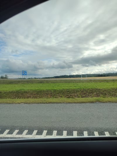A roadside view captures a landscape under a cloudy sky. In the distance, a blue directional signpost with white text and symbols stands prominently, indicating routes to "Täkumetsa," "Kallaste," and "Tartu." The sign also displays route numbers "7" and "39". Adjacent to the sign, a sparse cluster of trees and a few buildings are visible, nestled against a backdrop of a dark green forest bordering a field of dry, yellowing crops. In the foreground, a green grassy embankment runs along the edge of a grey asphalt road, marked with white dashed lines indicating a lane division. The sky is filled with a mix of grey and white clouds, suggesting overcast weather. The image is taken from a vehicle, as indicated by the dark frame at the bottom.